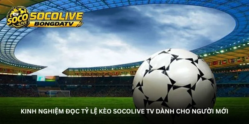 Tỷ lệ kèo Socolive TV – Đồng hành cùng fan trước giờ bóng đá
