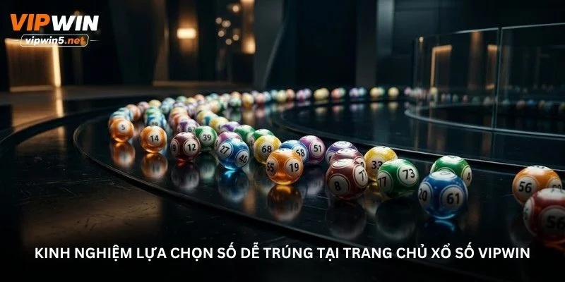 Xổ số VIPWIN – Những lựa chọn thú vị dành cho người thích Xổ số VIPWIN – Những lựa chọn thú vị dành cho người thích